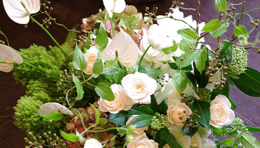 flower15 flower15