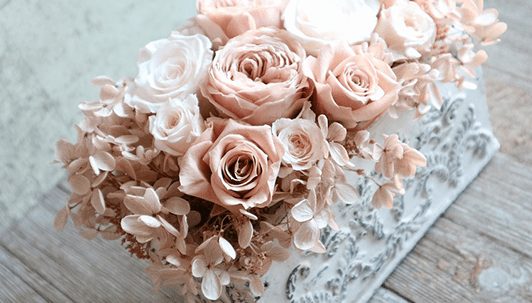 flower8 flower8